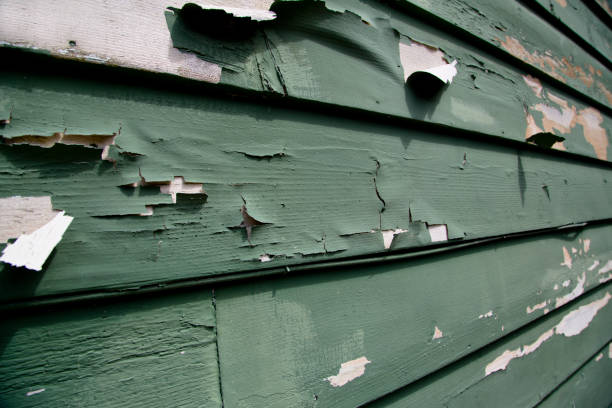 Best Construction Debris Removal  in Cypress Landing, NC